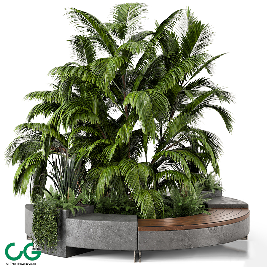 Outdoor Garden set bush and Tree Garden Set 158